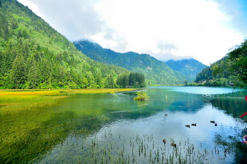 伟德国际victor1946