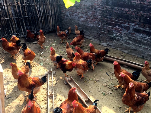 伟德国际victor1946