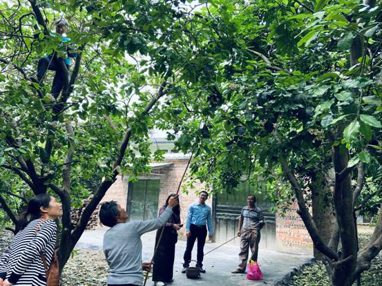 伟德国际victor1946