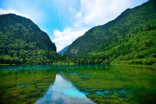 伟德国际victor1946