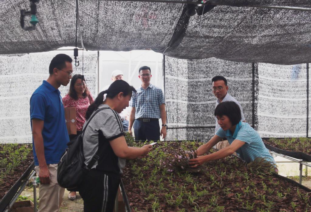 伟德国际victor1946